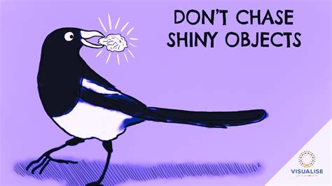 Startups Dont Be A Magpie Stop Chasing Shiny Objects