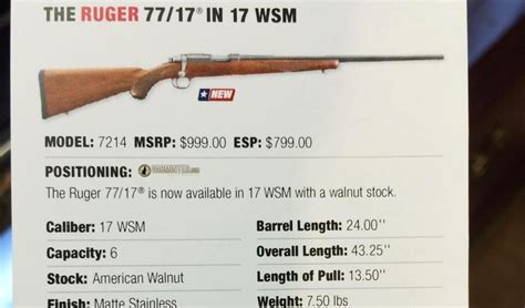 Ruger 77 17 17wsm Hunt Report Part One With Accuracy Update