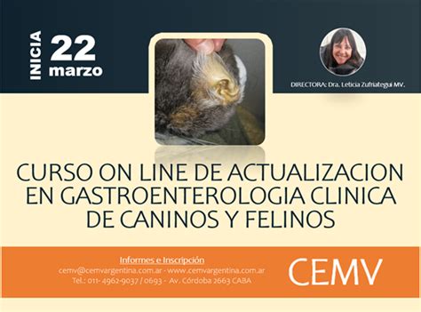 Curso Online De Actualización En Gastroenterología En Caninos Y Felinos