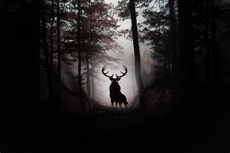 Deer Fantasy Artwork Deer Forest Animals Artist Digital Art Hd