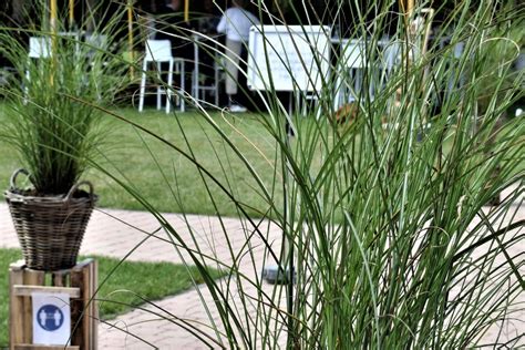 La Terrasse By Benoît Neusy Nouveau Concept éphémère Domaine D Arondeau Hainaut Tournai