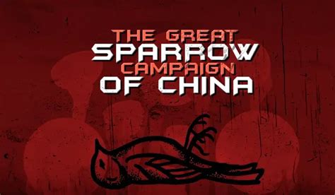 The Great Sparrow Campaign Of China