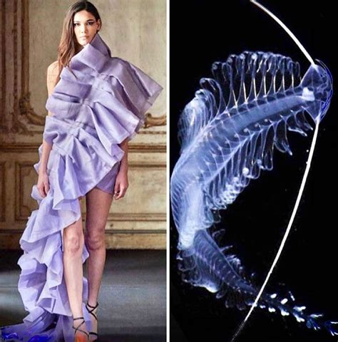 Fashion Designs Inspired By Nature