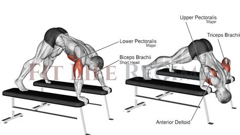 Pike Push Ups How To Muscle Worked Tips