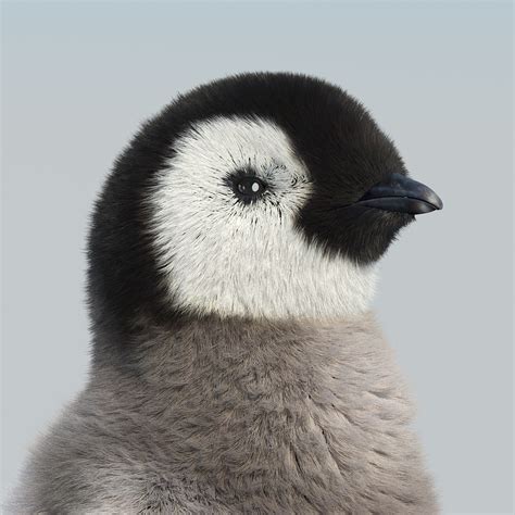 Emperor Penguin Chick Fur Max