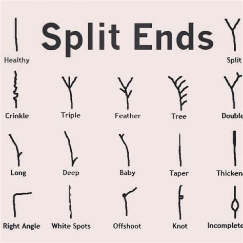 Check spelling or type a new query. Does your hair have split ends? Find yours on the picture ...