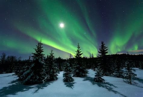 25 Reasons Why Norway And The Northern Lights Are Match Made In Heaven