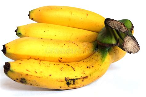 Bunch Of Bananas Isolated On White Background Stock Photo Image Of