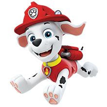 Check out their videos, sign up to chat, and join their community. PAW Patrol Ruff Ruff Rescue Sheet Set, Twin: Amazon.com.au: Home