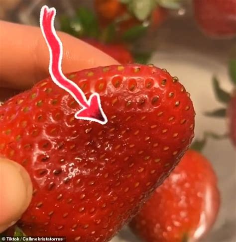 horrifying tiktok videos reveal bugs emerge from strawberries when they re submerged in salt
