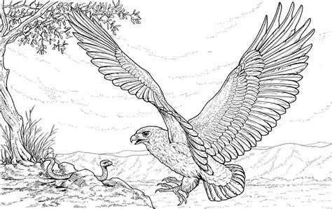 Eagle coloring pages are a fun way for kids of all ages to develop creativity, focus, motor skills and color recognition. Eagle coloring pages to download and print for free