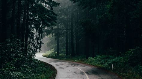 Forest Road 1920×1080 Hd Wallpapers