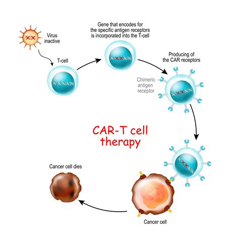Car T Cell Cancer Therapy Rn Com