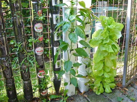 How To Make A Bottle Tower Garden Organize With Sandy