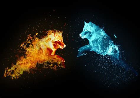 Loup Feu Et Eau By Kantus74 Fire Art Fire And Ice Twin Flame Art