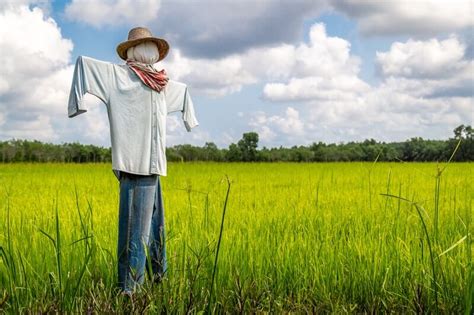 35 Funny Scarecrow Jokes And Puns You Havent Heard Yet Puns And Jokes