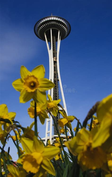 Seattle Space Needle Editorial Photo Image Of Space 64107886