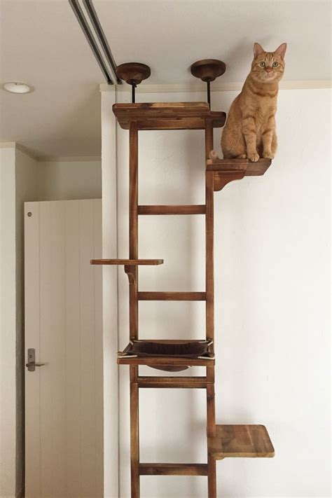 1000 Images About Cat Trees Shelters And Diy Feline On