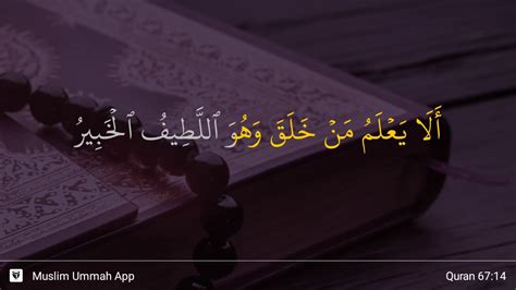 Al Mulk Ayat 14 Youtube