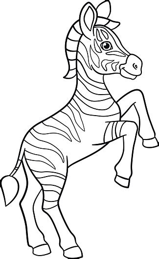 And see also some randomly maybe you like Coloring Pages Little Cute Baby Zebra Smiles Stock ...