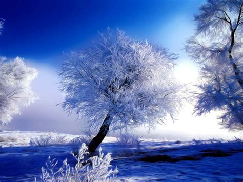 Winter Snow Frost Trees White Blue Hd Wallpaper