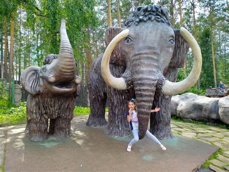 10 Zoos In Siberia Russia You Have To Visit Our Recommendations