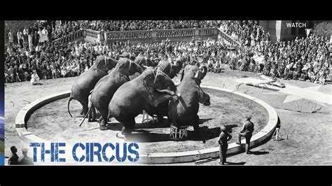 The History Of The Circus Brainfeed Magazine Youtube