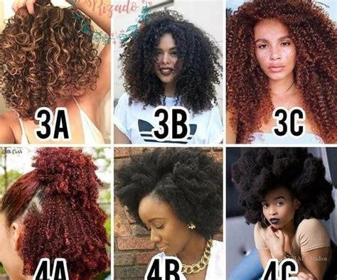 It is also not possible to go to this will help you to give an overview of the types of simple hairstyles which will suit you. Image may contain: 4 people, text | Natural hair styles ...