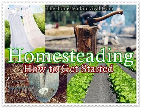 Homesteading How To Get Started The Homestead Survival