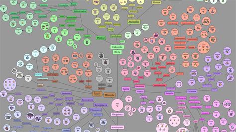Random Heres A Fan Made Evolutionary Tree Of Life For All Pokemon