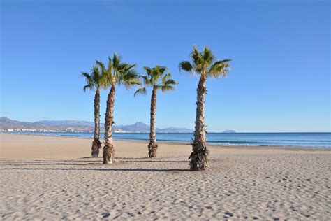 Calpe Tourist Guide Costa Blanca Video Reviews Facts