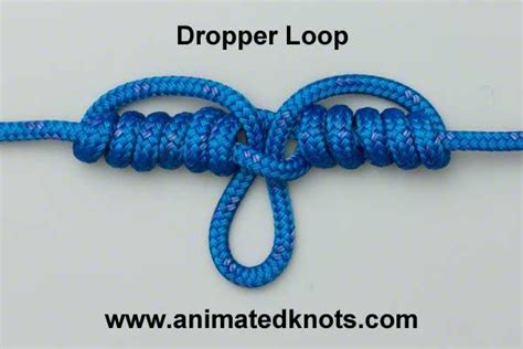 Dropper Loop Knot In 2023 Fishing Knots Knots Loop Knot
