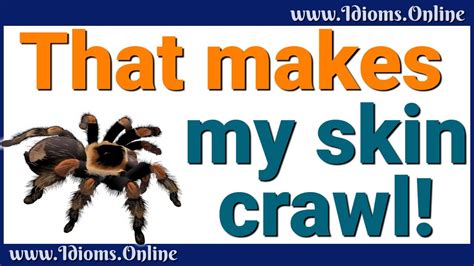 Make My Skin Crawl Idiom Meaning Youtube