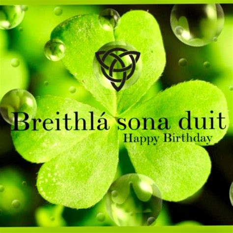 Pin By Dympna Reidy On Birthday Cards Irish Birthday Wishes Irish