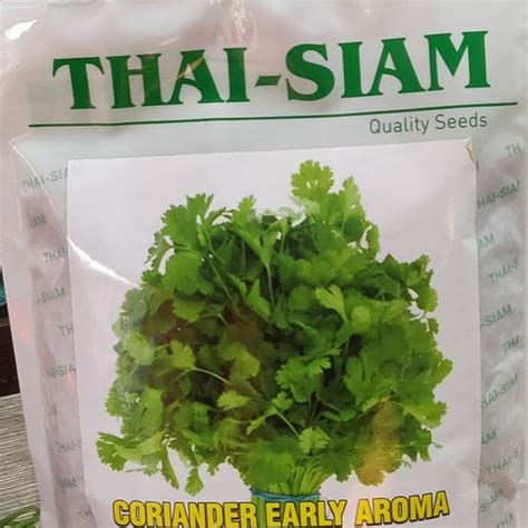 Natural Brown Thai Siam Seeds Coriander Early Aroma Packaging Size