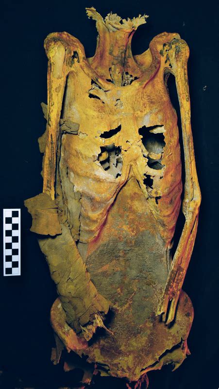Embodying The Divine A Tattooed Female Mummy From Deir El Medina