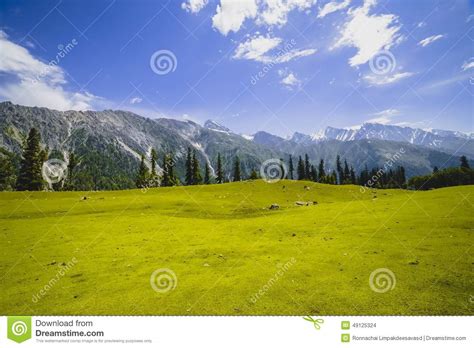 Green Valley Stock Photo Image Of Brightly Peak Gray 49125324