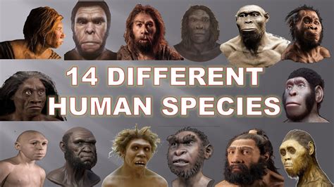 Why Are There So Many Variations Of Species But Not Of Humans Page 3