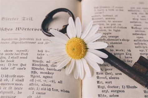 Palavras Com Significados Profundos