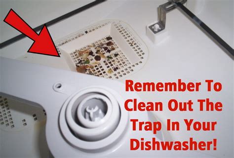 Then, wipe out all the cruds from inside the filter. Best Helpful DIY Tips To Keep Your Dishwasher Running ...