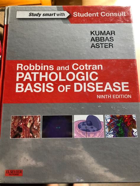 Robbins And Cotran Pathology Book 9th Ed Hobbies And Toys Books