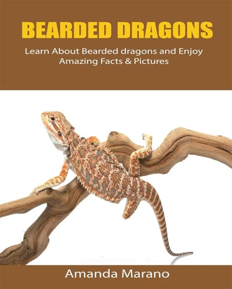 Bearded Dragons Learn About Bearded Dragons And Enjoy Amazing Facts