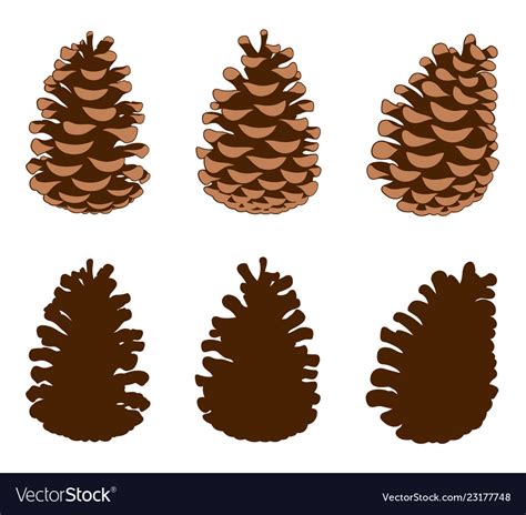 Group Of Different Pine Cones Royalty Free Vector Image