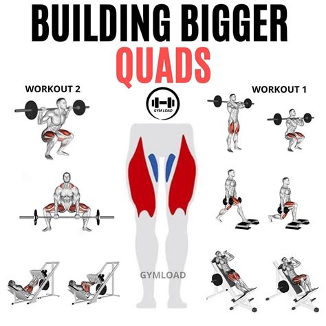 Building Bigger Quads The Best Quad Exercises To Take Leg Day To The