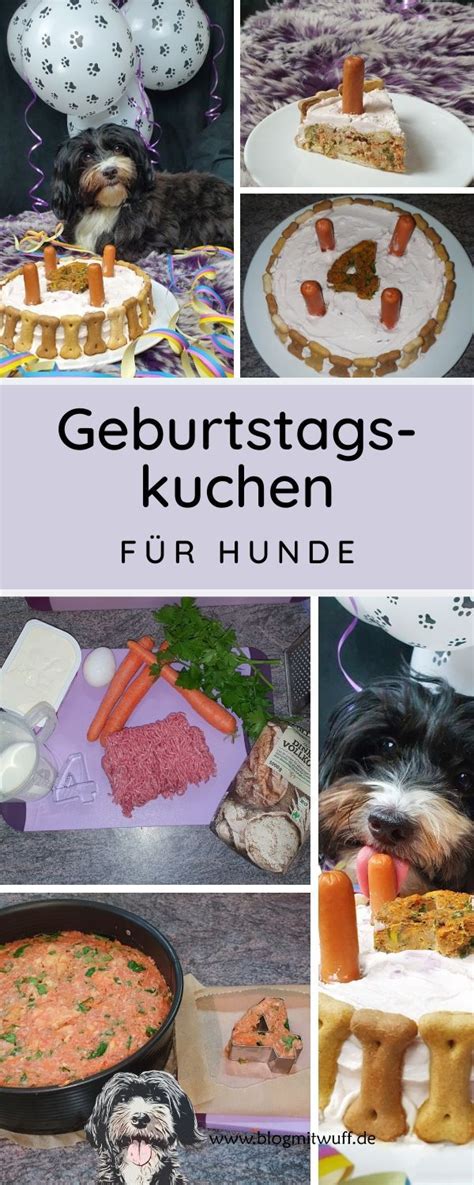 Für den hundekuchen brauchst du: Geburtstagskuchen für Hunde - Rezept kostenlos zum ...