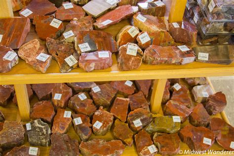 With over 180 vehicles, west point tours, inc. Driving through Petrified Forest National Park - Midwest ...