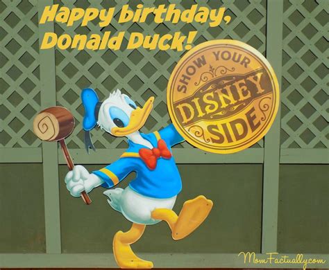 13 Fun Facts About Donald Duck In Honor Of His Birthday Mom Factually