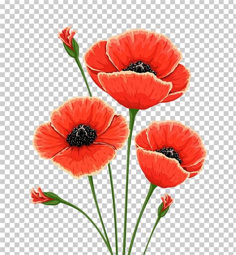 Poppies Clip Art 10 Free Cliparts Download Images On Clipground 2024