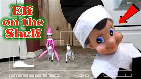 Elf On The Shelf Caught On Camera Every Clip In One Video Trinity