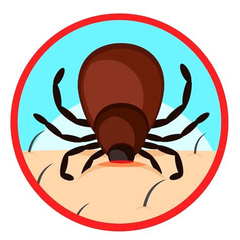 Premium Vector Mite Bites A Persons Body Close Up Warning Sign